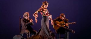 Flamenco dancer performance guitar